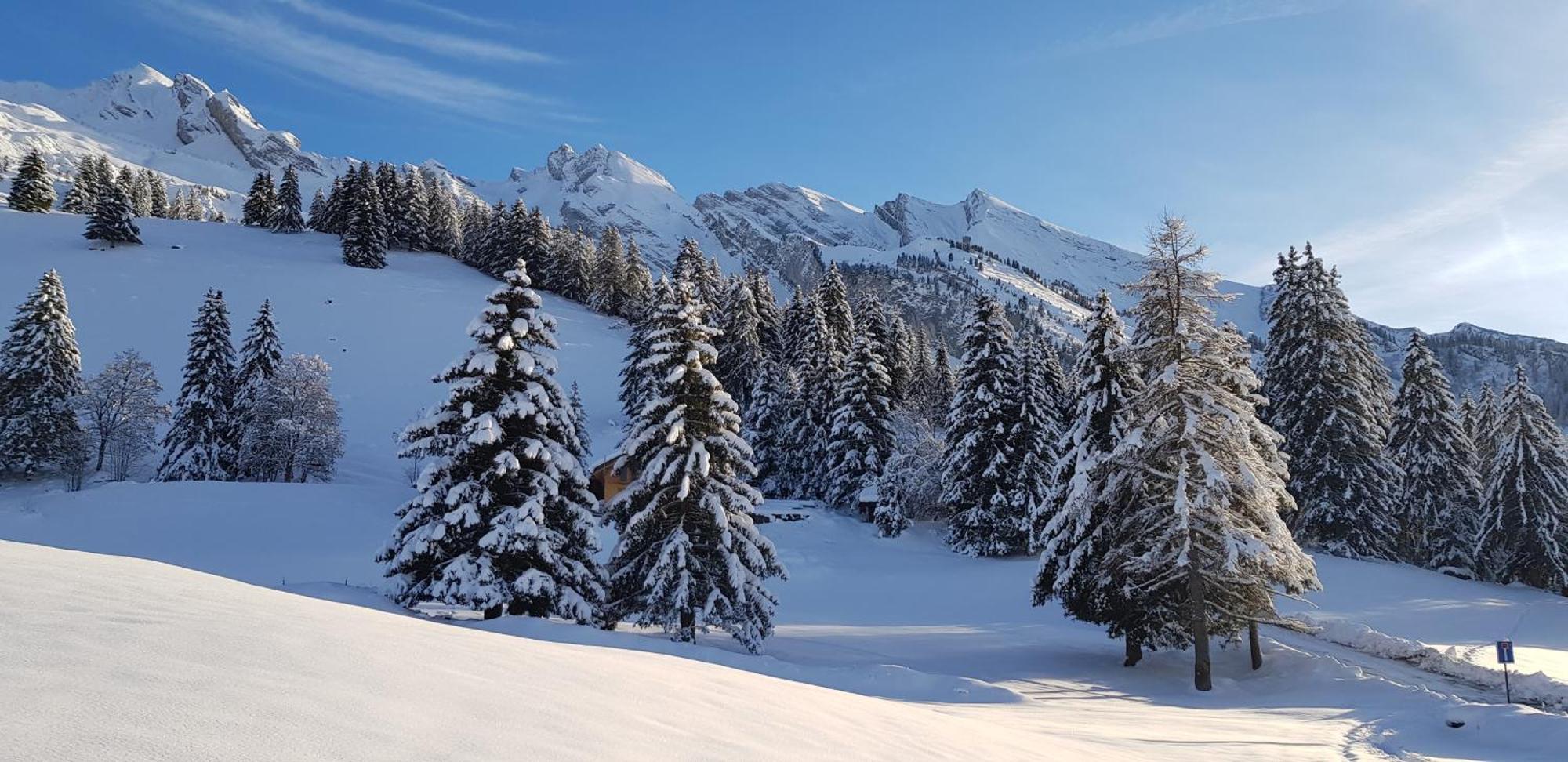 Appartement Cosy Face Aux Aravis Le Grand-Bornand Buitenkant foto