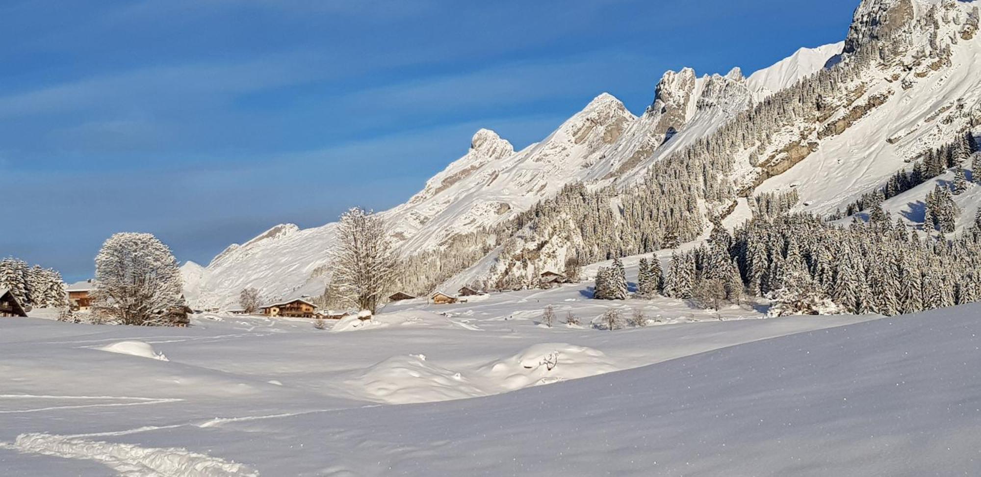 Appartement Cosy Face Aux Aravis Le Grand-Bornand Buitenkant foto